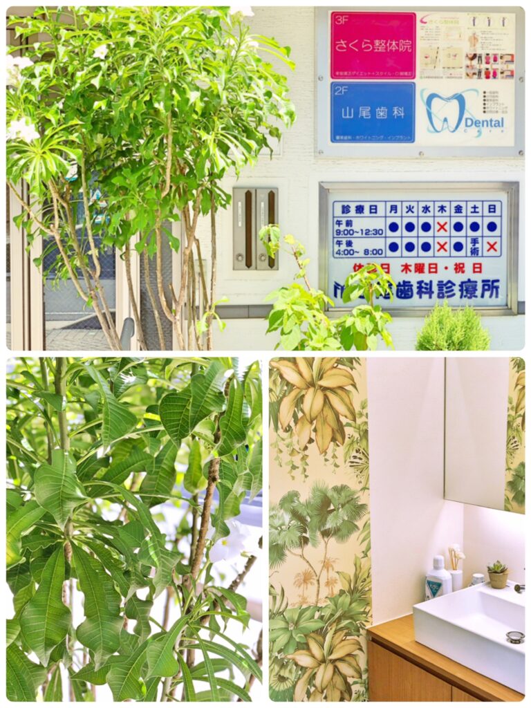 奈良市 さくらプラチナム|ドライヘッドスパ 小顔リンパドレナージュ リンパマッサージ 頭皮デトックス